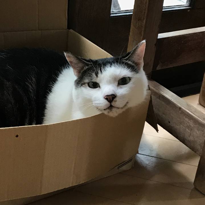 87e656c7 7bf7 4e3d baf6 b5515945d137