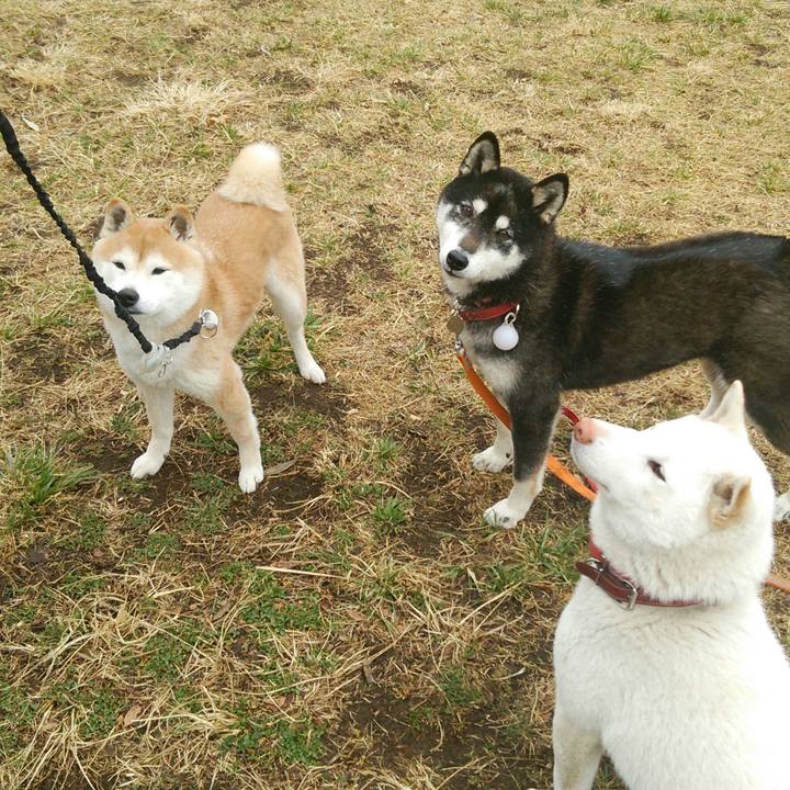 87e666d8 ed43 4c2b a6c1 e3d737069df8