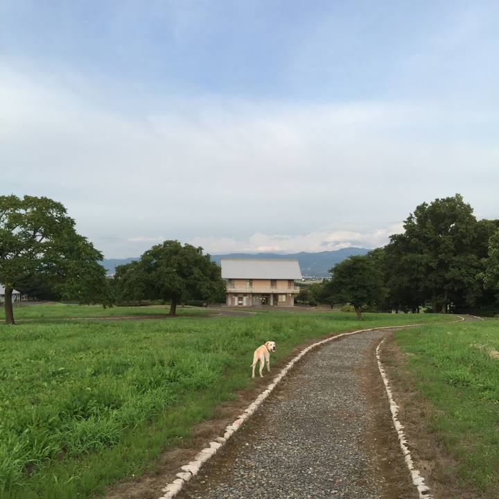 87e68b94 1f20 4c7c bf00 475981b2c395