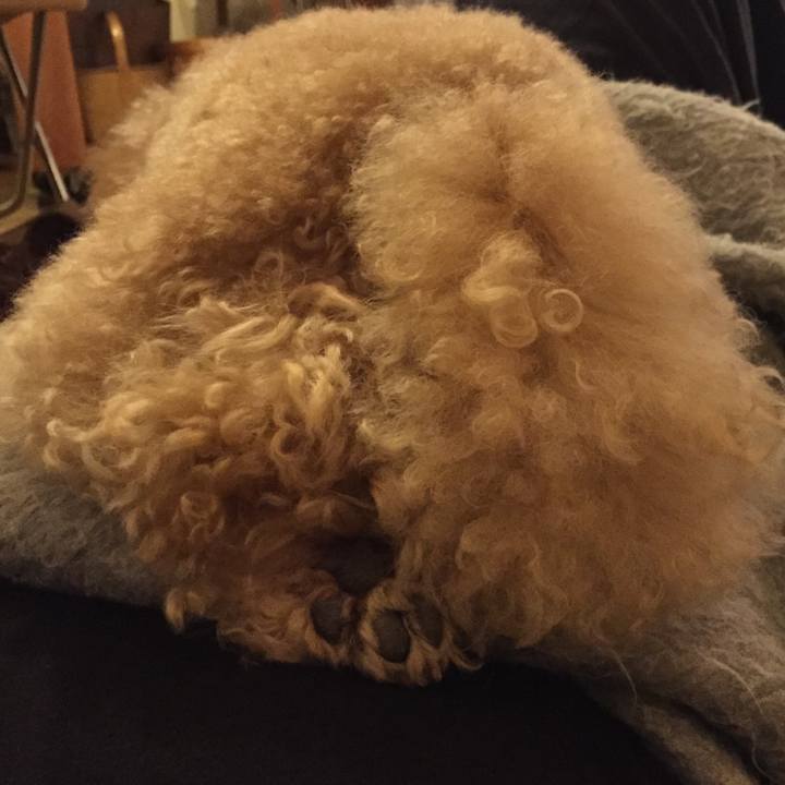 87e6c1ed 0231 4364 add9 53b40351925f