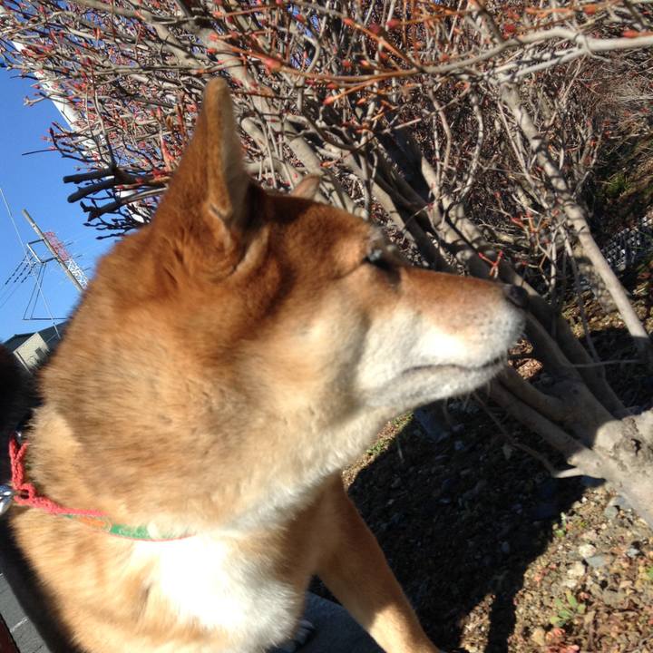 87e6c293 617d 4760 aa79 c4da131bf7bd