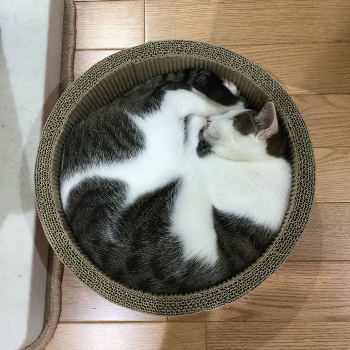 87e79aad d677 473c 99f4 08da49d12caa