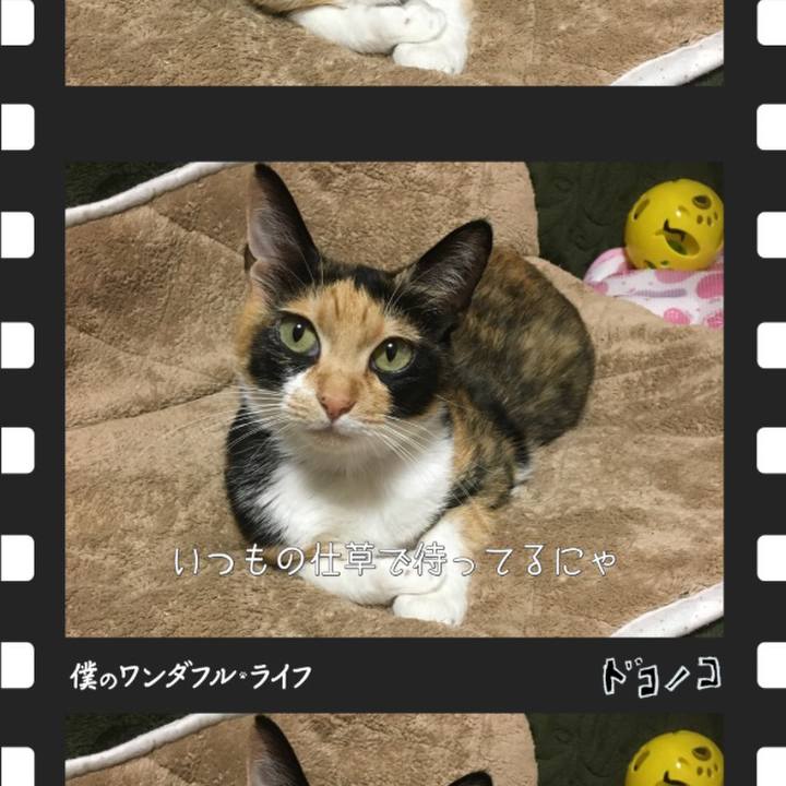 87e7ad93 af64 43f9 8463 7ac15a744308