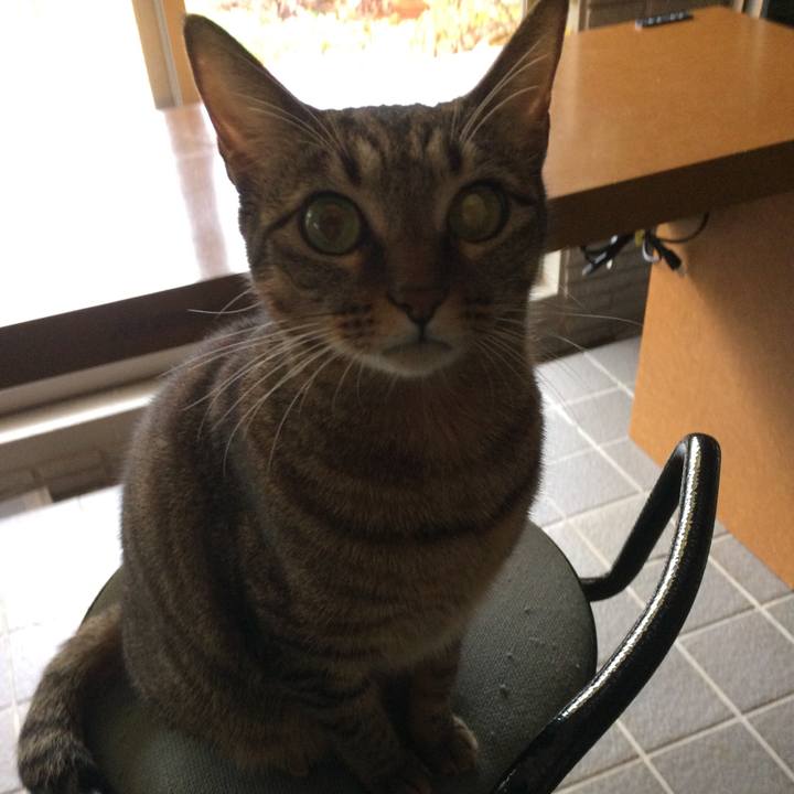 87e7af3d b9f7 45f9 a88d d659139bd787