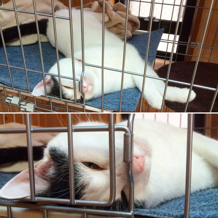 87e7b745 7eed 428e a220 27213fd6f39a