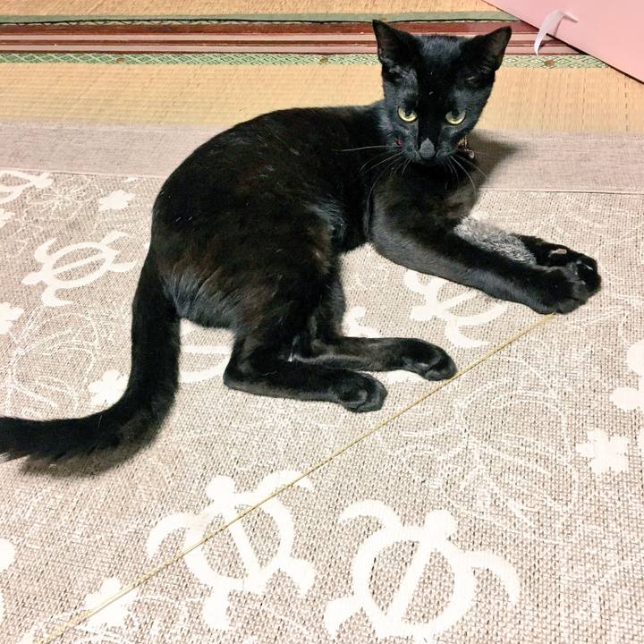 87e81e1e aacd 4af4 b68f d28887932273