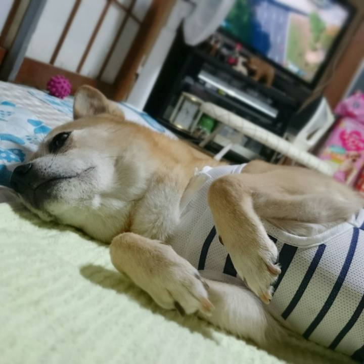 87e860dc e1f9 4326 a13a ac0451c7fc36