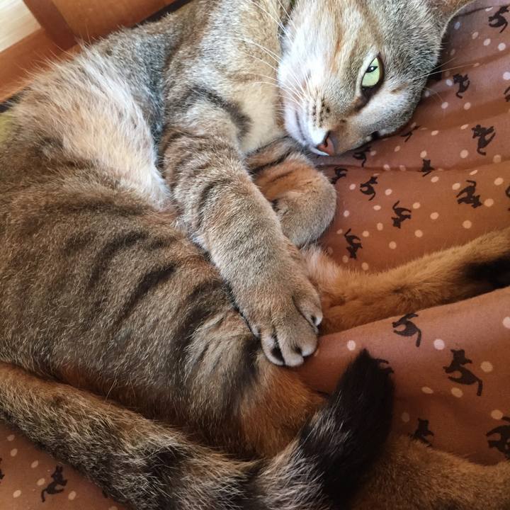 87e995d4 aa8b 4c0d a5d7 53c4b7d729dd