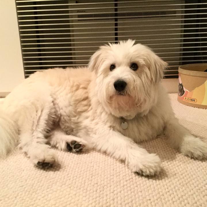 87e9ca74 d71d 47d4 9e80 534286096eda