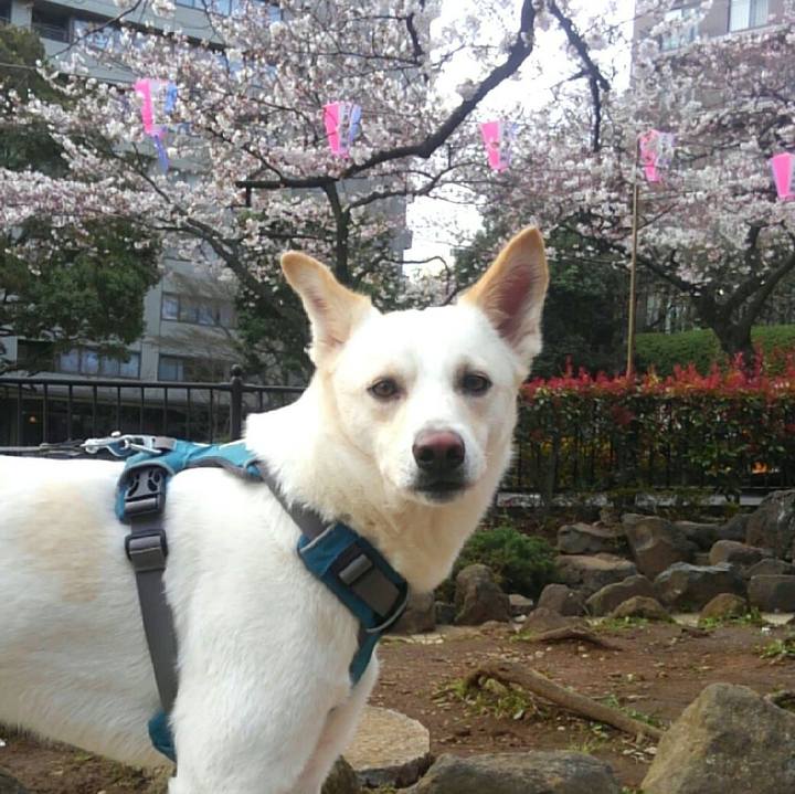 87ea3fe2 1c5b 4aa9 83b7 4c0ae3881db9