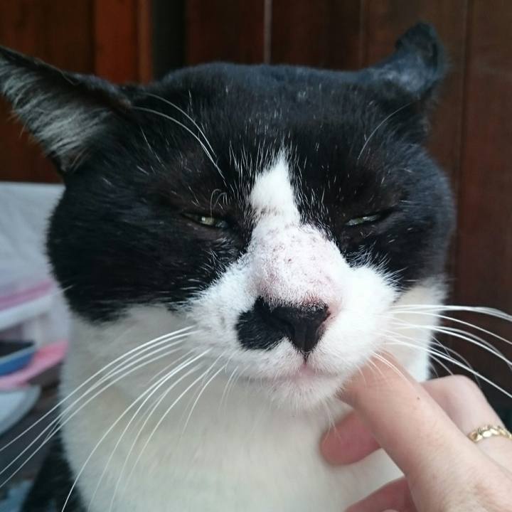 87ea4061 24cf 46db 847b fe31ab865227