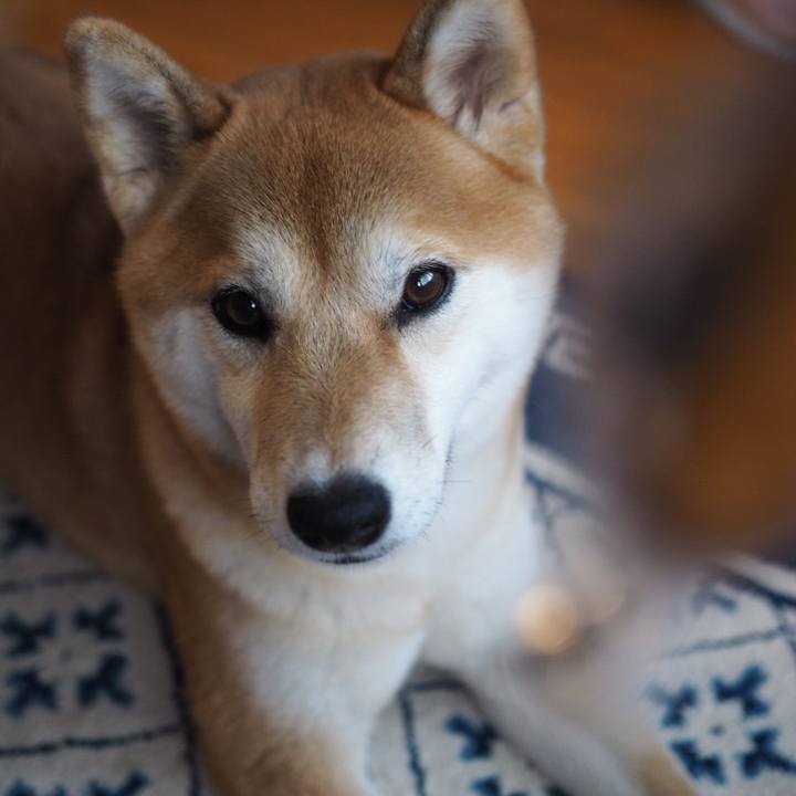 87eaea66 c47a 475b b21f e1edc230e3c5