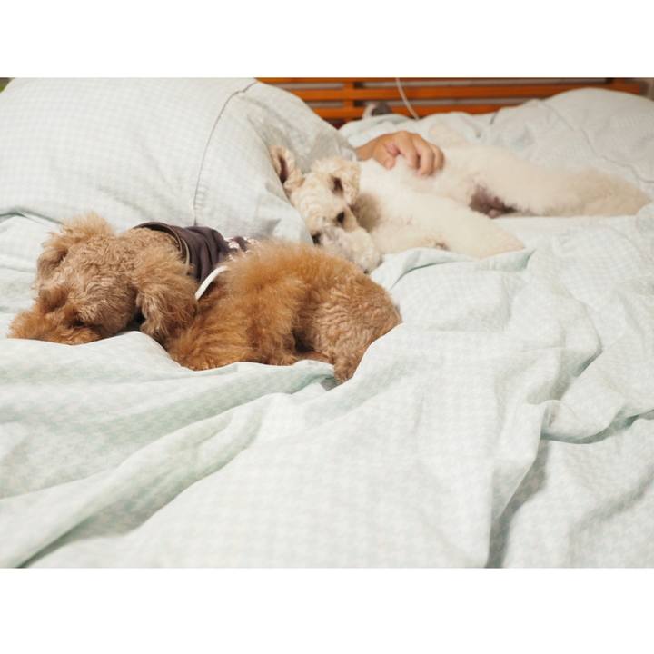 87eb38b7 c1f2 4f7d af42 f0b277e8edf7