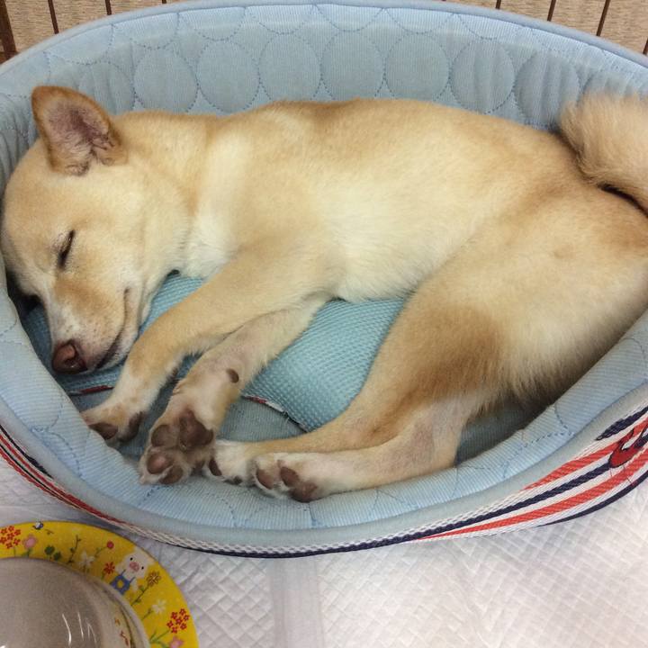 87eb6901 9ba4 4fff 8eeb 65c64231693f