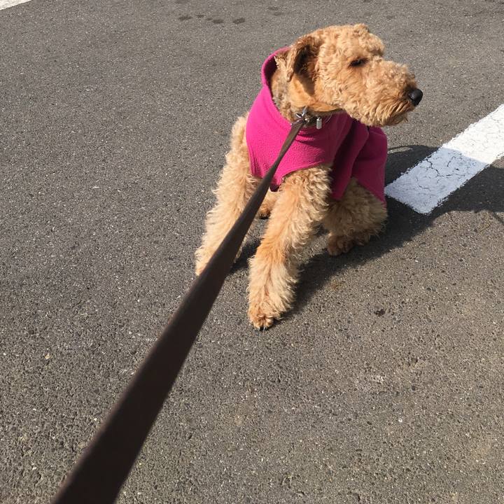 87ebc7bb 5a97 427b a8b2 3a08498a6cde