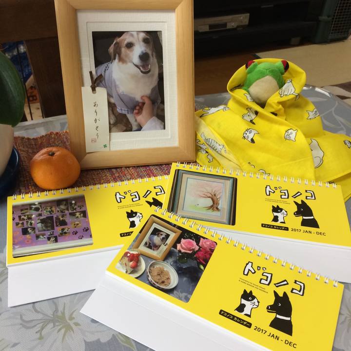 87ebdac8 ea8c 48e8 9e08 486e5d4c5e9b