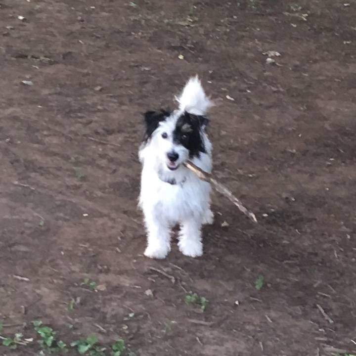 87ebdfc6 d2c6 490d a365 cf908d3ed97e