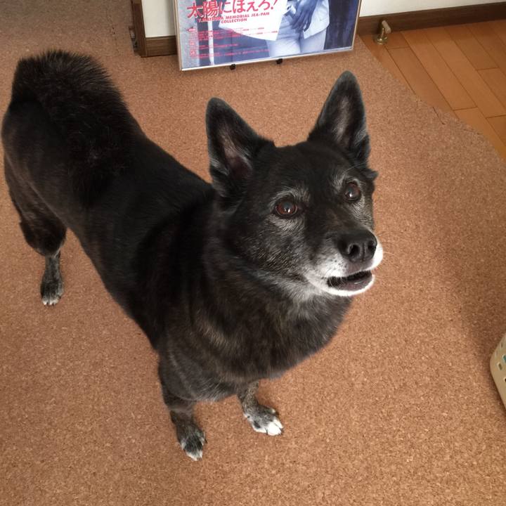 87ebe881 2985 4258 b2a6 c60e14632631