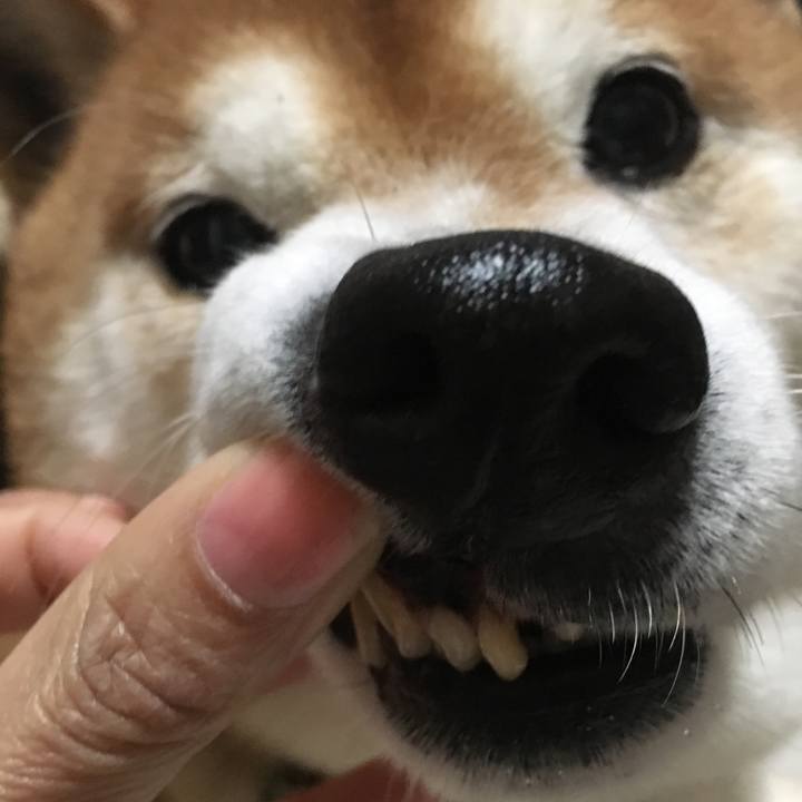 87ec0815 c53c 40ce 8573 d49102146cd9