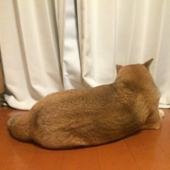 87ecb99c 3fb3 493a 999e 0ca713690deb