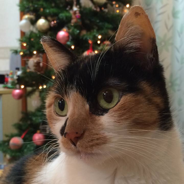 87ed2839 28e4 4e16 afec 21288e15a120