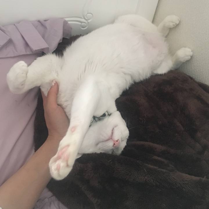 87edbeb0 6751 4517 80d3 05af19032d02