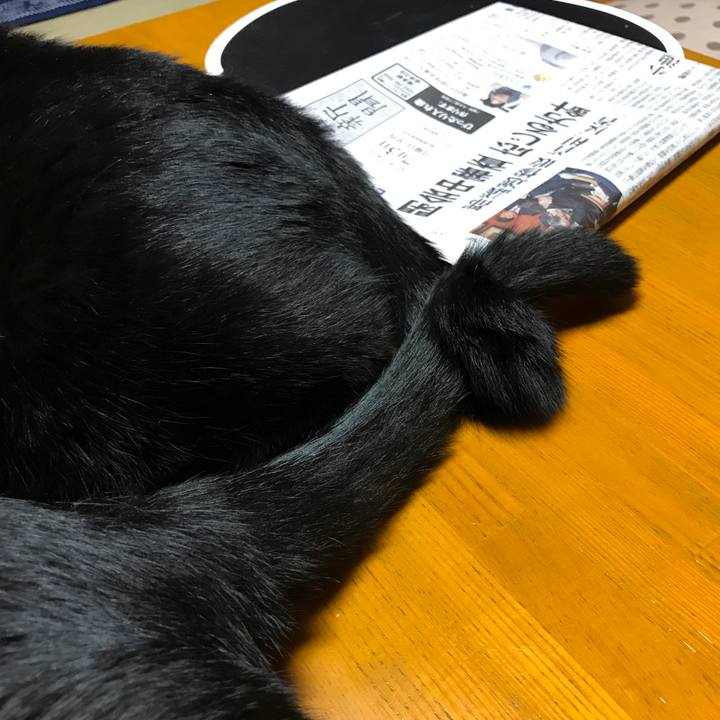 87ee8083 5430 4ef4 8f49 180bad63cbbb