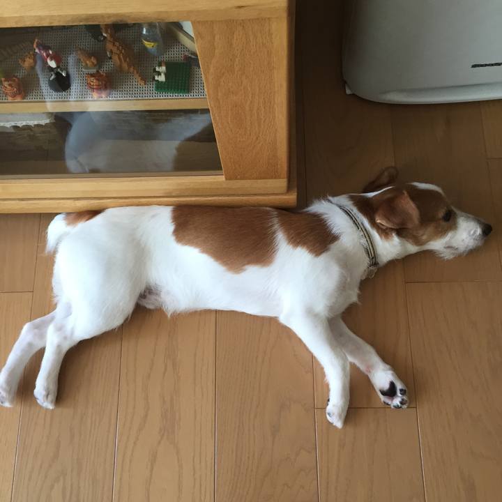 87eefbed aa58 455a b734 2be35fc4dca7