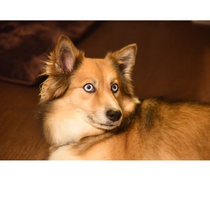 87ef16b0 ba2b 4c00 be5d 63980eaa4d53