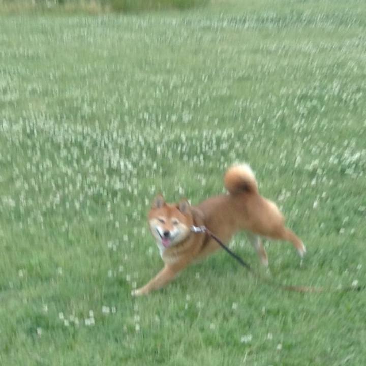 87ef3fa4 a8fa 4654 a183 2f9b2ac051d0