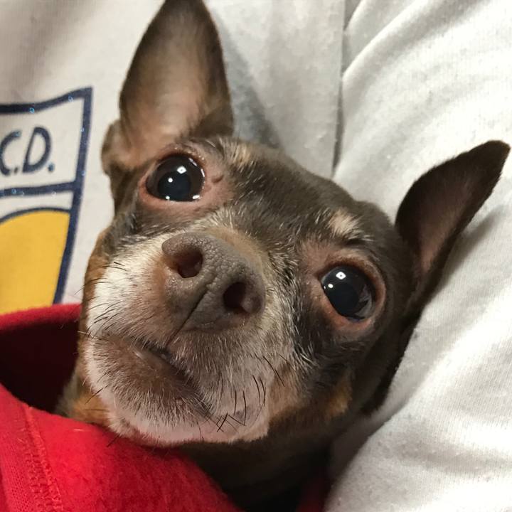 87efb6e9 1ed5 412e ac99 a7f1f1357eb8