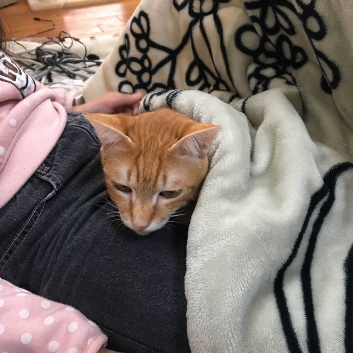 87f01f51 e02a 4472 adb3 d7e7d7411e6c