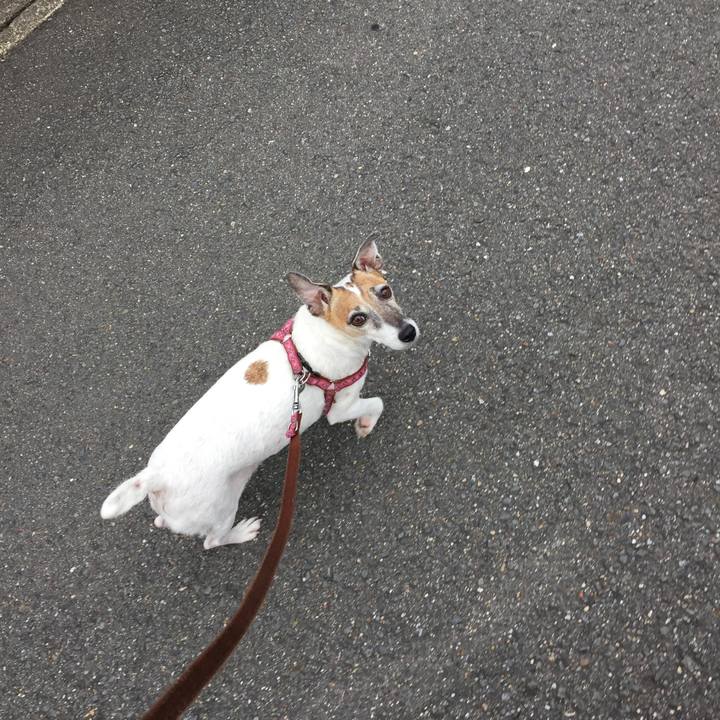 87f0553a db89 483f 9009 eb5c71574d5e