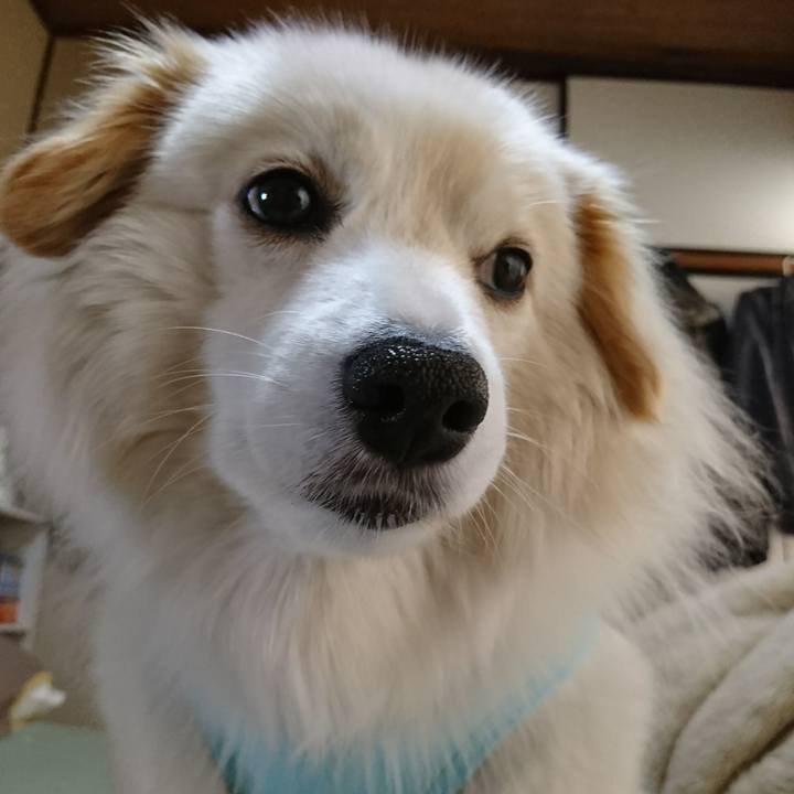 87f07e12 4703 42fd 914a 2be0b381b595