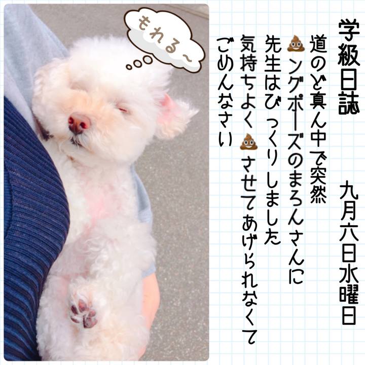 87f08bf6 bf2c 4cc0 8e5e 3138e572357d