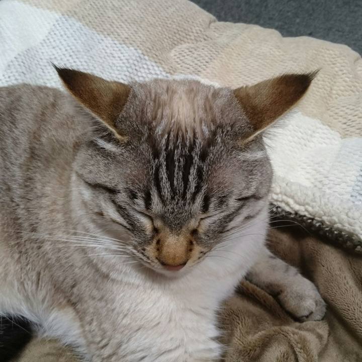 87f19124 eb42 47cf b588 d5d55ff5e117