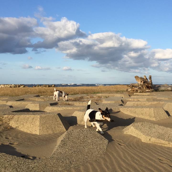 87f1e05d e74d 48d7 9d55 0dd6b9813a34