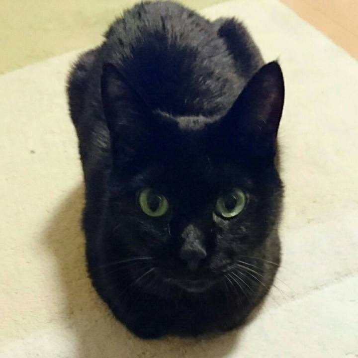 87f1fc82 987c 4509 98e6 613c99c58e44