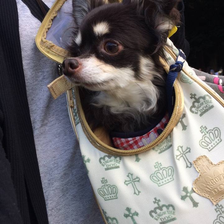 87f238cb e61a 4c6f a5a5 f07fe5d63274