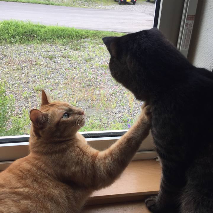 87f2fdde 14cf 493f a304 c546e73daf51