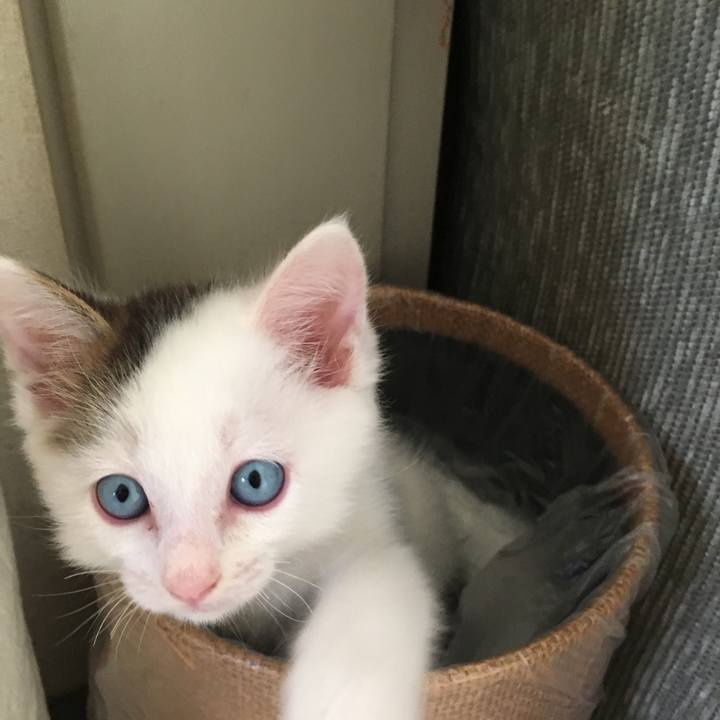 87f32f57 e364 4b91 a02d 1cba01f443d2