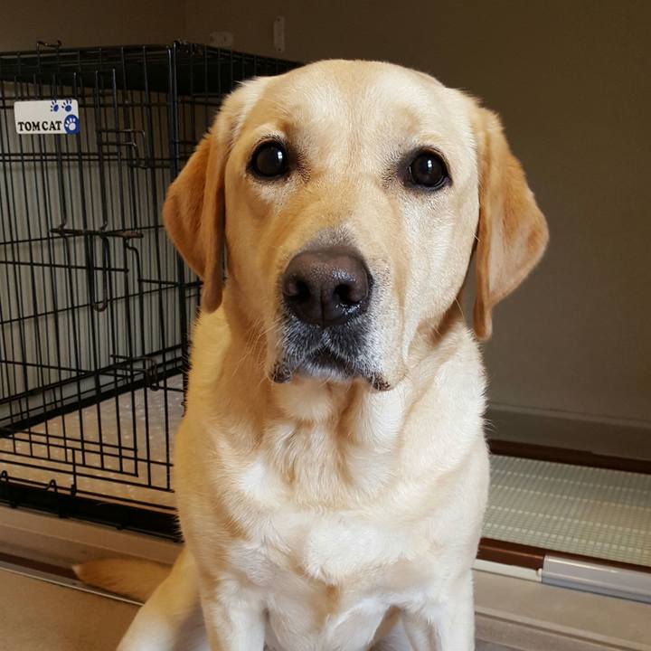 87f3567f a173 438c a525 32453442827f