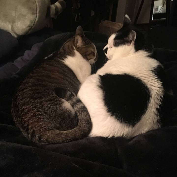 87f3a39f 4eb8 4a86 a4d8 db66891f2a1a