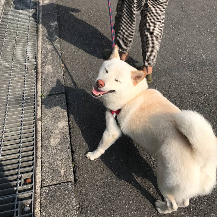 87f3fffe 5673 4132 83ef 84dbbd00ecfd