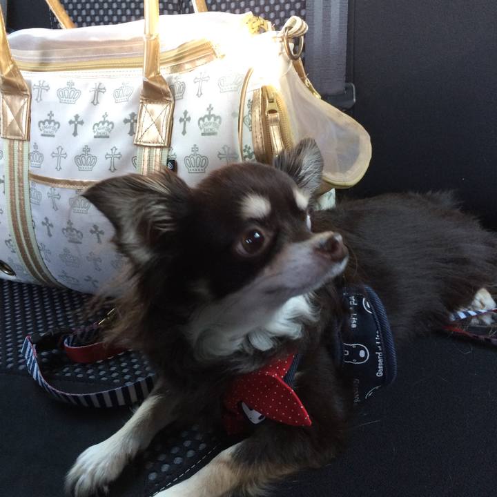 87f42281 4940 4171 ae05 d2dae8356b8a