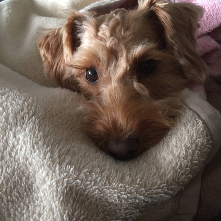 87f4c936 335e 4051 8aa5 656f0035492a