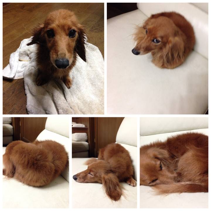 87f4d7b9 eae5 4543 ae30 007615005562