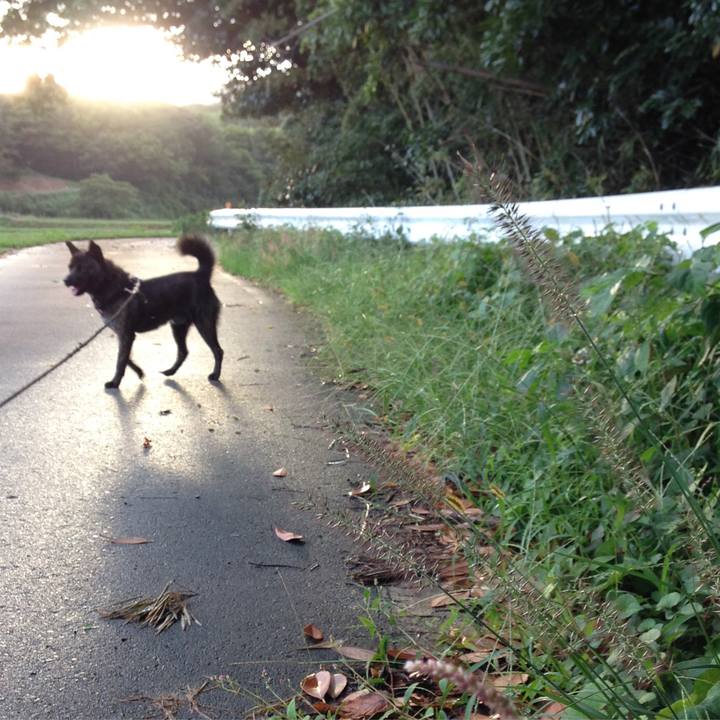 87f4e3e7 86fd 43e7 ab1a dc40f794cb48