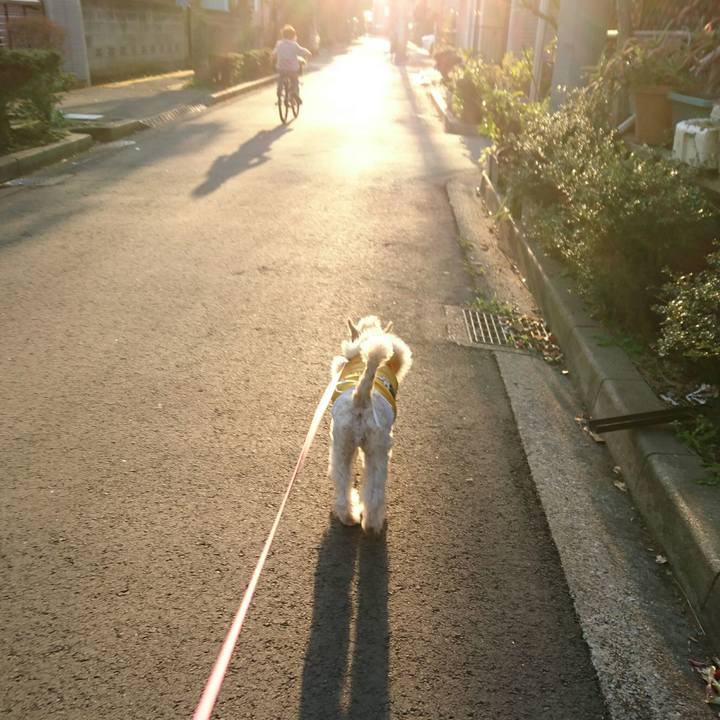 87f4ef72 c119 4efe a312 e224a81660d7