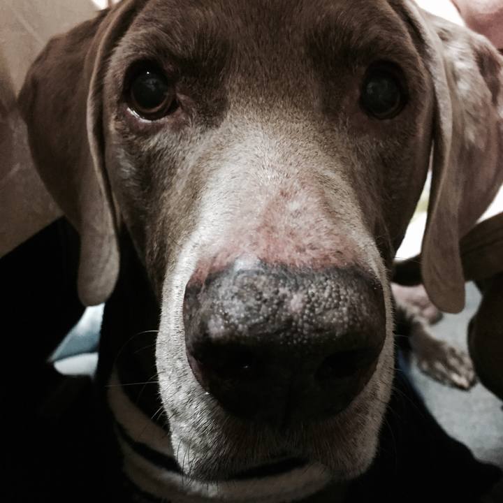 87f55fd0 23fc 4923 9fb6 a2f6be631ec8